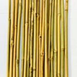 Mejores Bambu